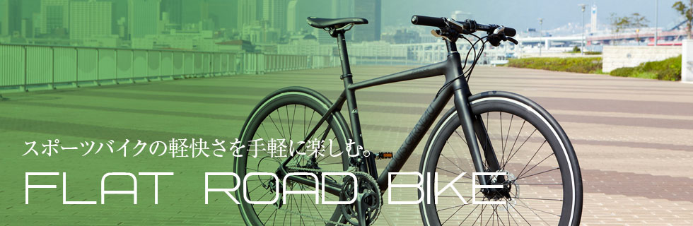 FLAT ROAD BIKE/tbg[hoCN