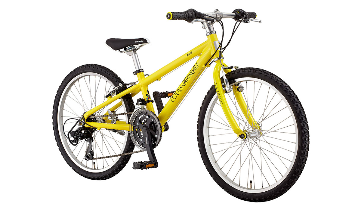 12810円 2022A/W新作送料無料 ルイガノ 22インチ 自転車 子供用自転車 LGS-J22 キッズ グリーン