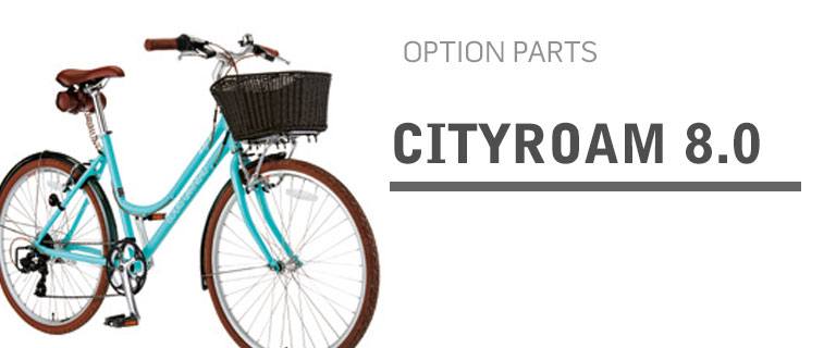 CITYROAM8.0