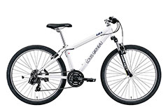 LG WHITE（370mm）