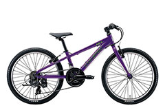 MIDDNIGHT PURPLE（270mm）