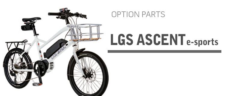 LGS ASCENT E-BIKE