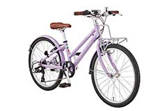 SMOKE LAVENDER（270mm）